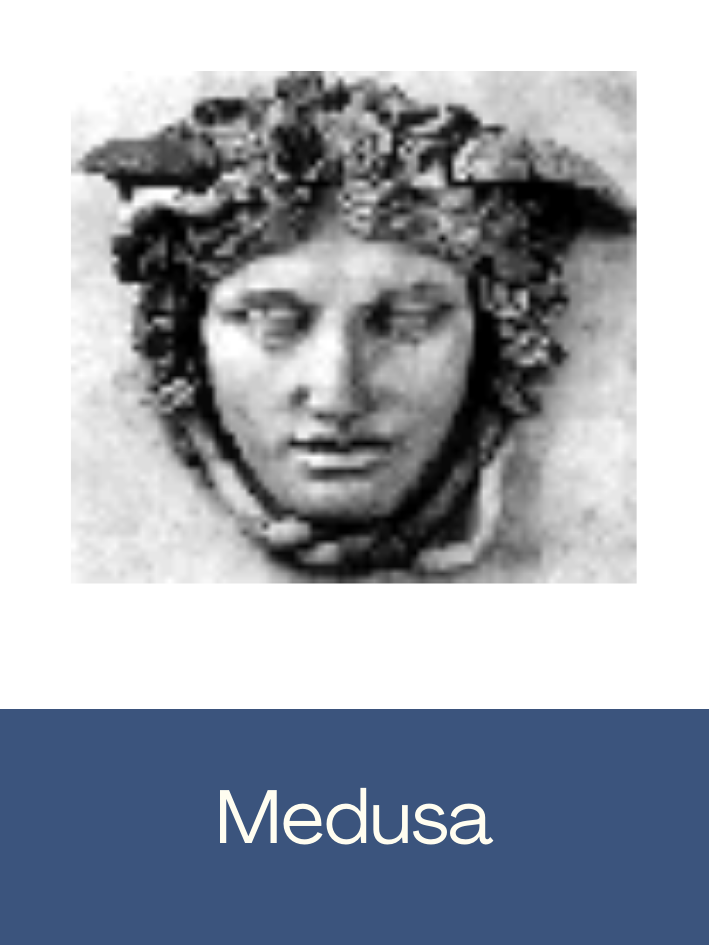 Click here to access Medusa Injectible Medicines Guide